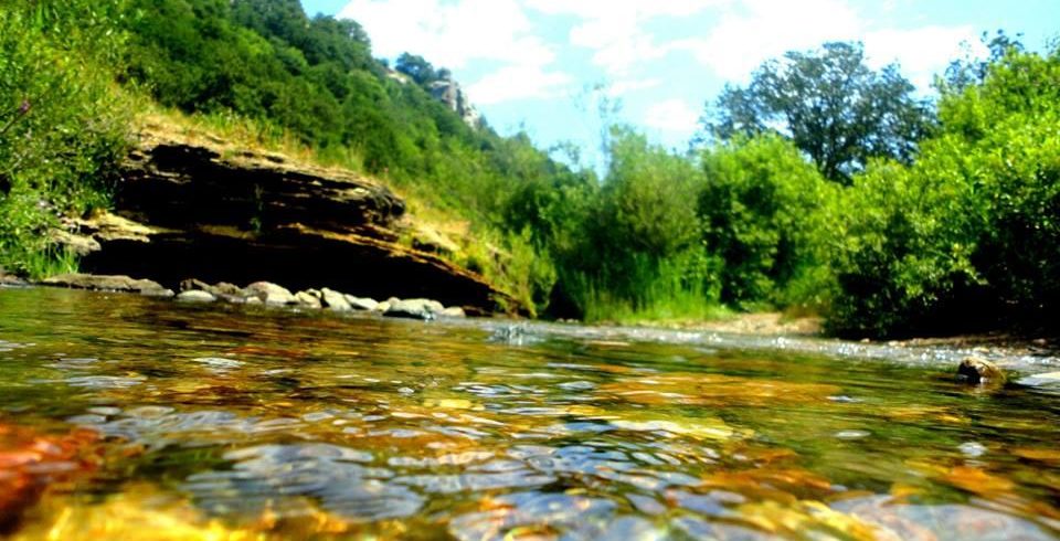 nature of Armenia