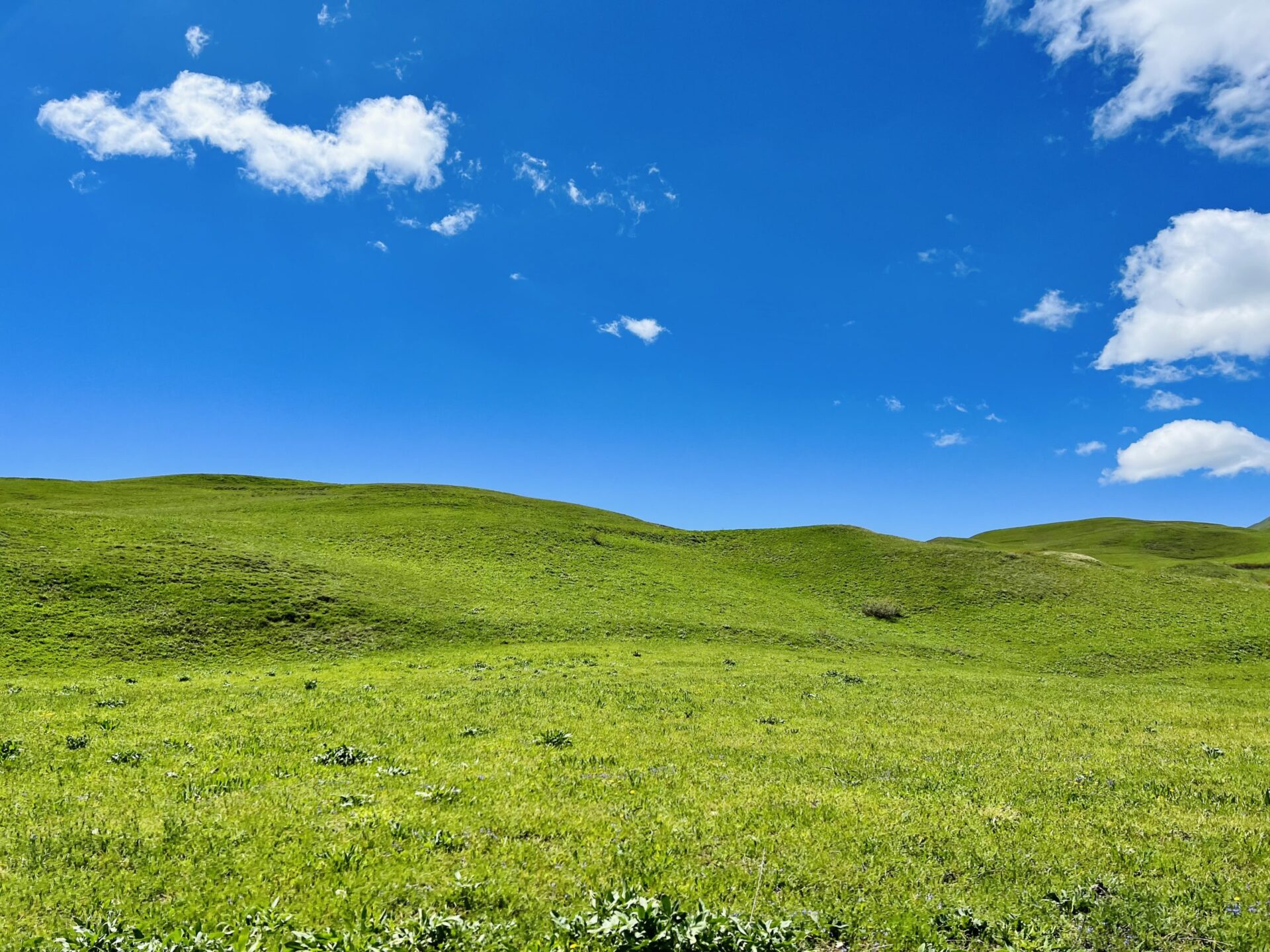 Nature of Lori, Debed canyon, private tour to Lori