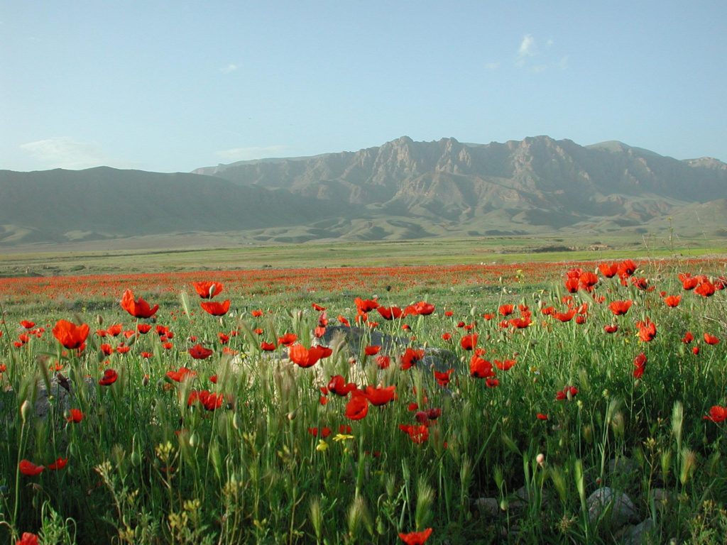 Nature of Armenia