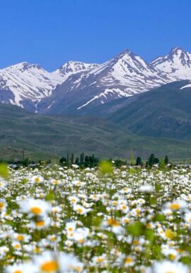 Aragats mountain private tour