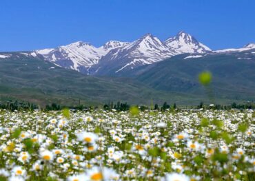 Aragats mountain private tour