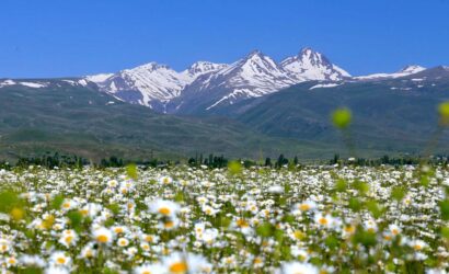 Aragats mountain private tour