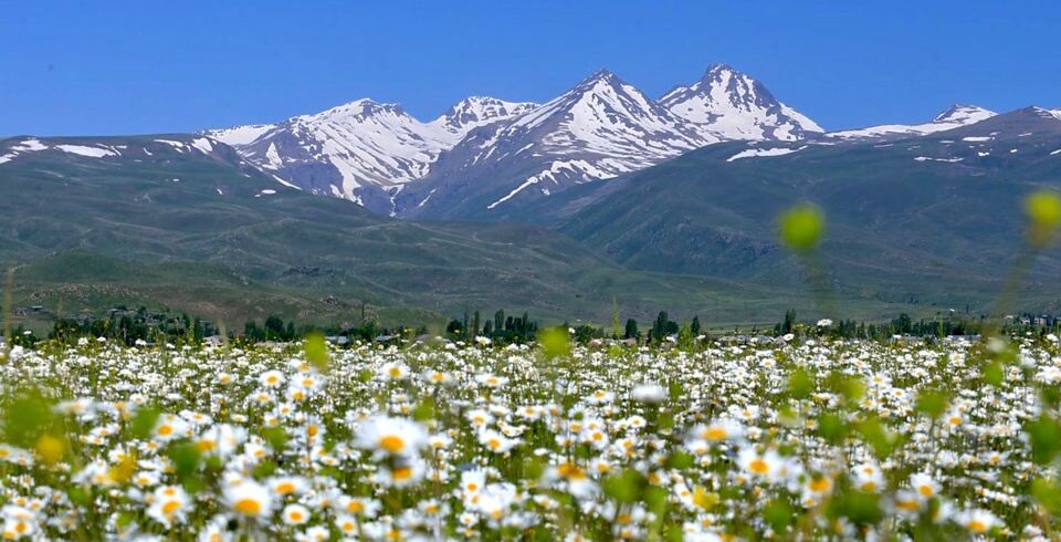 Aragats mountain private tour